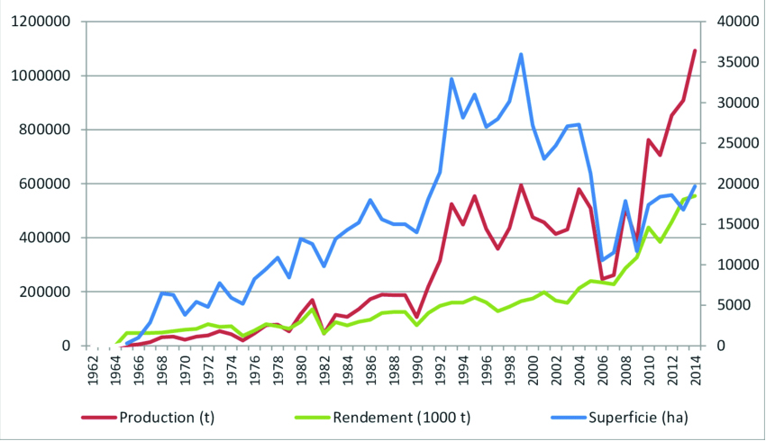 Progression d'activités et évolution de production