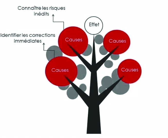 Techniques d’analyse des accidents de travail : Arbre des causes